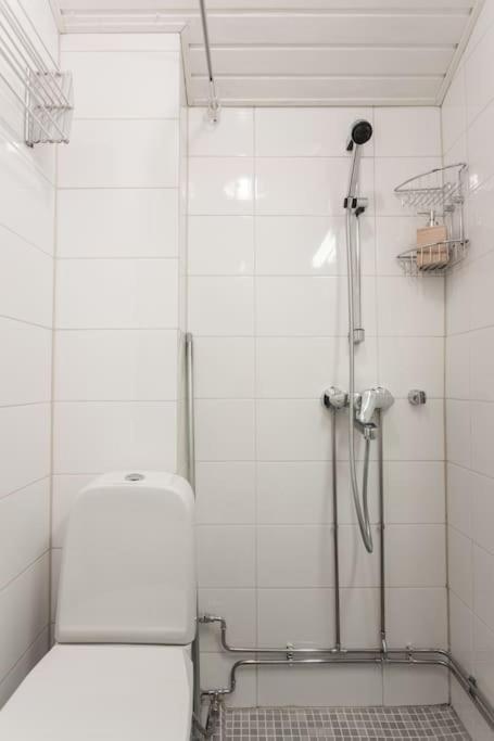 Kodikas Huoneisto Helsingin Keskustassa Daire Helsinki Dış mekan fotoğraf